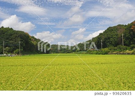 青葉区ふるさと村の田園風景 93620635