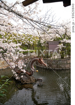 新選組　お墓 93620840