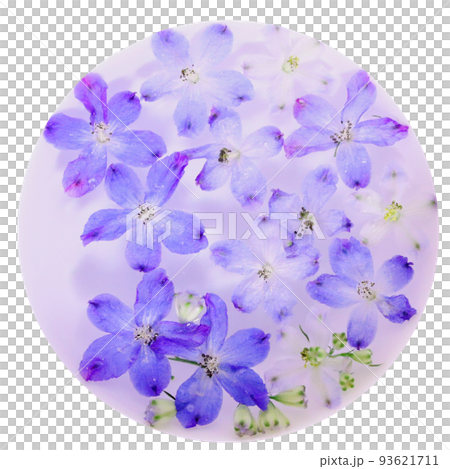 水に浮かべたデルフィニウムの花の画像 水に浮かべたデルフィニウムの花の画像 93621711