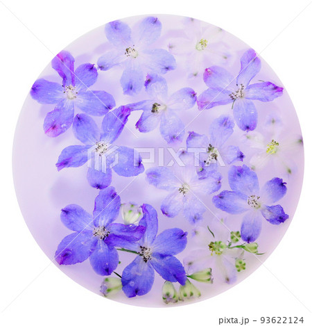水に浮かべたデルフィニウムの花の背景 【円形の切り抜き】 水に浮かべたデルフィニウムの花の背景 【円形の切り抜き】 93622124