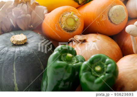 夏野菜の盛り合わせ 93623693