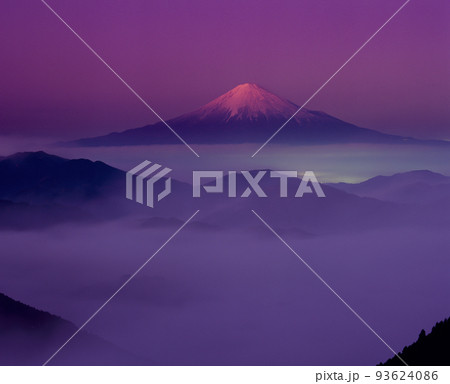 夕照りの雲海と富士山 夕照りの雲海と富士山 93624086