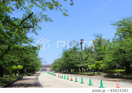 上野恩賜公園 上野恩賜公園 93624261