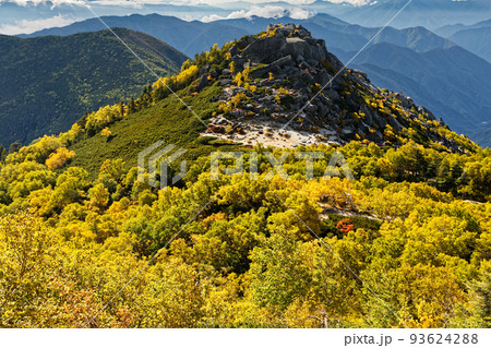 南アルプス・鳳凰山のダケカンバの黄葉と砂払岳 93624288