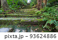 苔むす石段 93624886