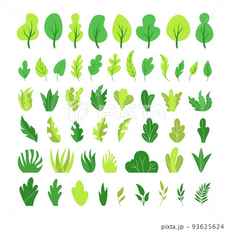 Botanical elements. Plant leaves, cute bush,... - Stock Illustration  [93625624] - PIXTA