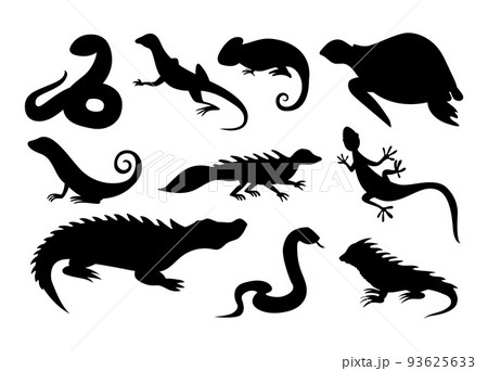 Wild reptile silhouette. Tropical reptiles turtle, chameleon and tortoise. Lizard and crocodile or alligator, snake and iguana, amphibians black icons. Vector isolated on white background collection Wild reptile silhouette. Tropical reptiles turtle, chameleon and tortoise. Lizard and crocodile or alligator, snake and iguana, amphibians black icons. Vector isolated on white background collection 93625633