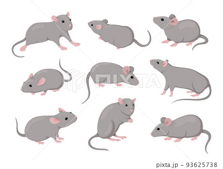 Mouse and rat, isolated mice animals set. Cute rodent characters in different poses on white background, little house pets, simple graphic. Zodiac creature. Vector cartoon flat style illustration 93625738