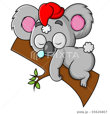The koala is very sleepy and sleeping on the... - Stock Illustration  [93626807] - PIXTA