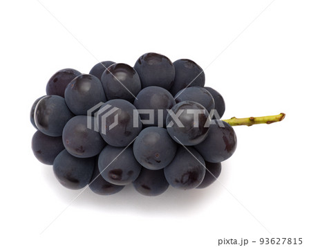 種なし巨峰 93627815