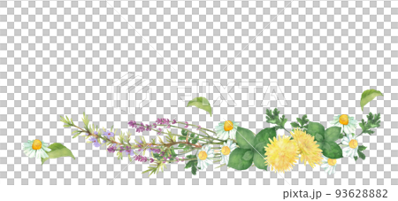 Bouquet decoration of herbs painted by watercolor Bouquet decoration of herbs painted by watercolor 93628882