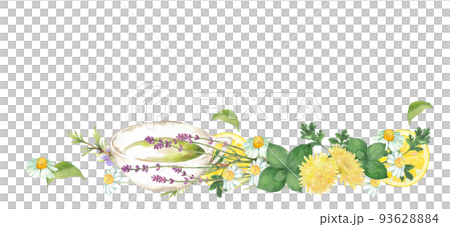 Herbs and lemons painted by watercolor, herbal tea decoration Herbs and lemons painted by watercolor, herbal tea decoration 93628884