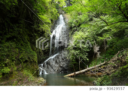 滝又の滝 93629557