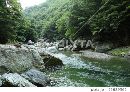 唐戸の渓谷 93629562