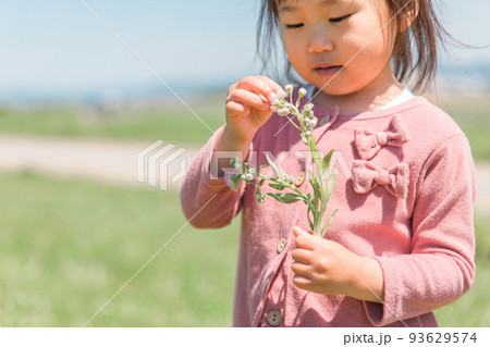 花を摘んで遊ぶ子供（女の子） 93629574