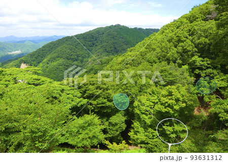 能勢妙見山の山頂から見た景色 93631312