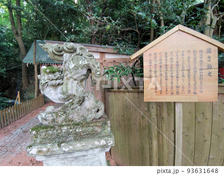 石川県金沢市のパワースポット 石浦神社内の広坂稲荷 石川県金沢市のパワースポット 石浦神社内の広坂稲荷 93631648
