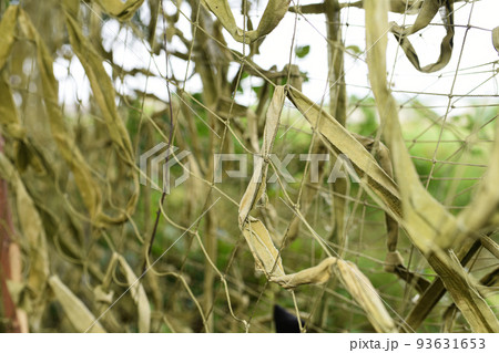Camouflage net. Masking the shelter. Camouflage net. Masking the shelter. 93631653