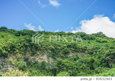 柴山 93632903