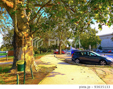 ヨーロッパの日暮れ 93635133