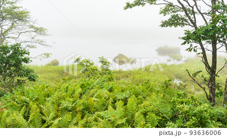 信州・霧ヶ峰・八島ヶ原湿原 信州・霧ヶ峰・八島ヶ原湿原 93636006