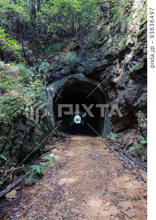 廃線となった田口線三河大草駅跡地トンネルとプラットホーム 93636497