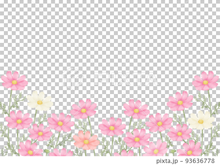 秋桜 コスモス畑 秋のイメージ背景(横長) 秋桜 コスモス畑 秋のイメージ背景(横長) 93636778