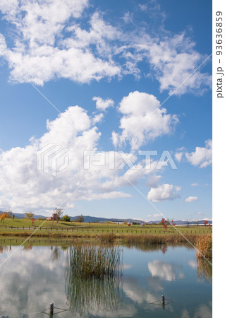 秋の青空を写す水面 秋の青空を写す水面 93636859