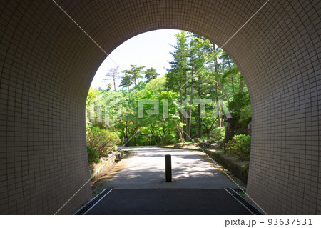 弥彦公園のトンネル 93637531