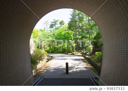 弥彦公園のトンネル 93637532