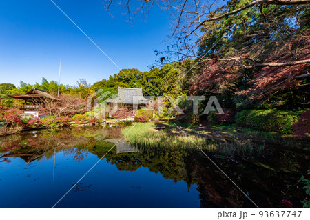 秋の奈良県・長岳寺で見た、放生池に反射する紅葉や緑の木々と快晴の青空 93637747