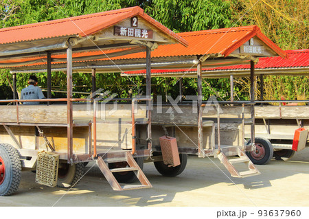 竹富島の水牛 93637960