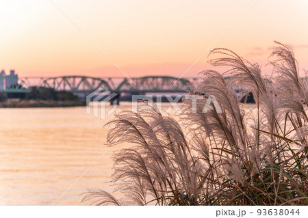 「埼玉県」ススキと夕景の荒川河川敷・秋 「埼玉県」ススキと夕景の荒川河川敷・秋 93638044