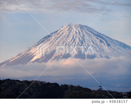 富士川SAから望む富士山 富士川SAから望む富士山 93638157