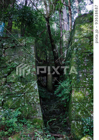 鳳来寺山石垣をつなぐ橋 鳳来寺山石垣をつなぐ橋 93638687