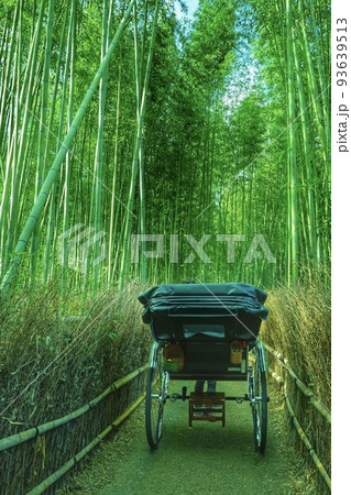 京都の絶景 竹林の小径 京都の絶景 竹林の小径 93639513