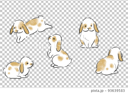 Cute illustrations of rabbits, collection of poses, drooping ears, lop ears 93639583