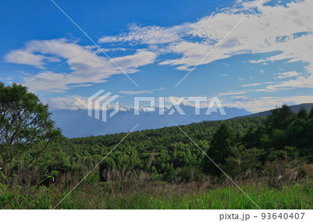 山梨県 夏の八ヶ岳・美し森展望台 山梨県 夏の八ヶ岳・美し森展望台 93640407