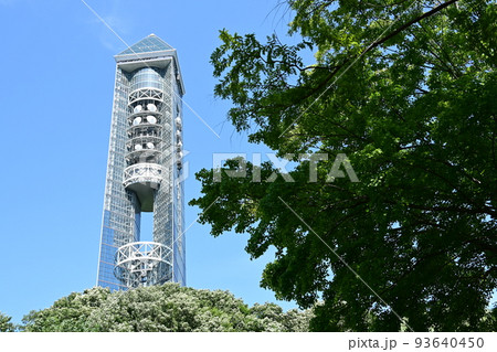 東山動物園の東山スカイタワーと木 93640450