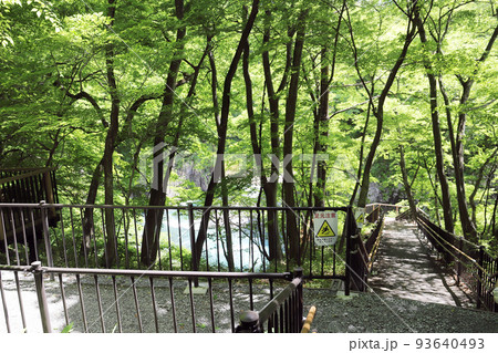 吾妻峡見晴台（八ッ場ダム 群馬県） 93640493