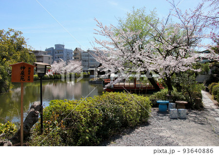 京都　二条城近くの神泉苑 93640886