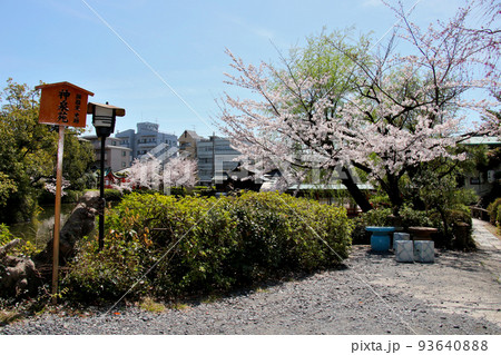京都　二条城近くの神泉苑 93640888