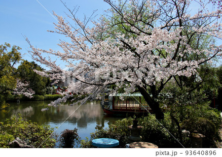 京都　二条城近くの神泉苑 93640896