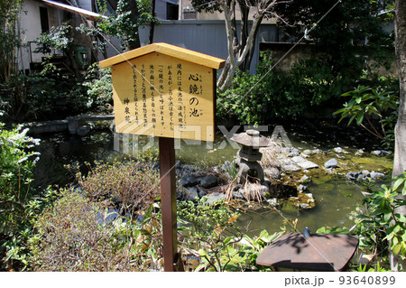 京都　二条城近くの神泉苑　心鏡の池 93640899