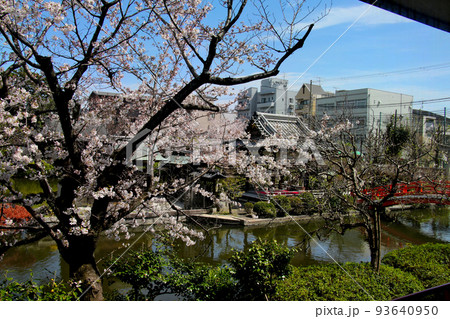 京都 二条城近くの神泉苑 京都 二条城近くの神泉苑 93640950