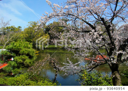 京都 二条城近くの神泉苑 京都 二条城近くの神泉苑 93640954
