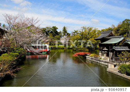 京都　二条城近くの神泉苑 93640957