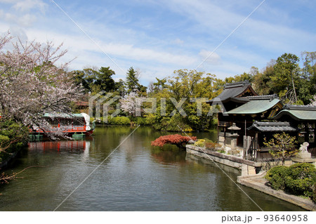 京都 二条城近くの神泉苑 京都 二条城近くの神泉苑 93640958