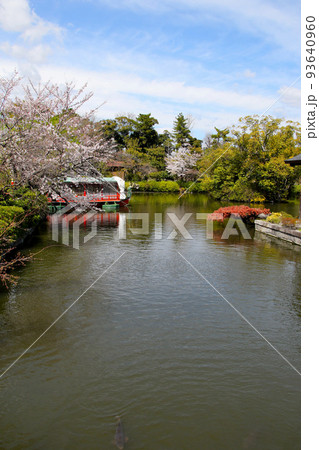 京都 二条城近くの神泉苑 京都 二条城近くの神泉苑 93640960