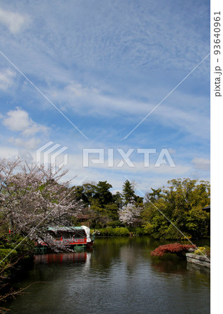 京都 二条城近くの神泉苑 京都 二条城近くの神泉苑 93640961